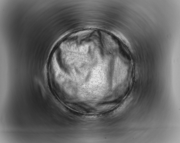 X0000094200798200711091218