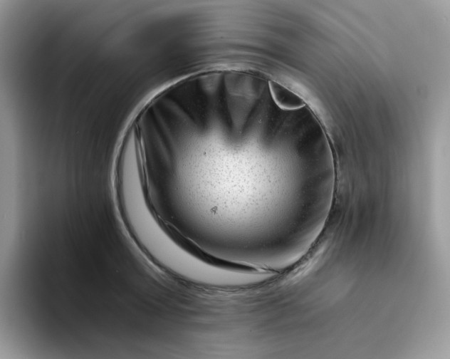 X0000094200803200711091218