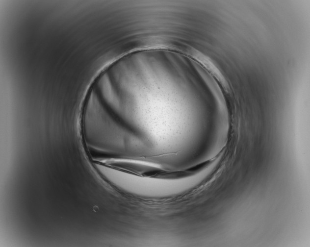 X0000094200805200711091218