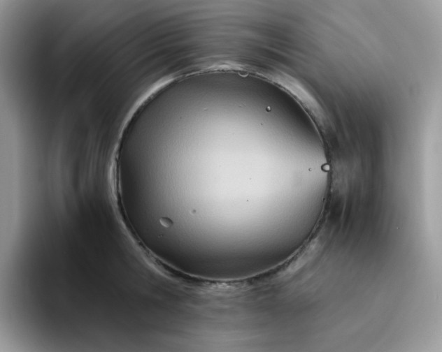 X0000094200806200711091218