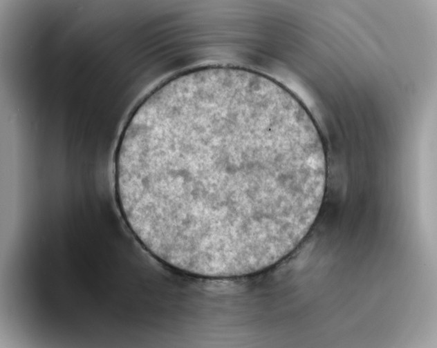 X0000094200807200711091218