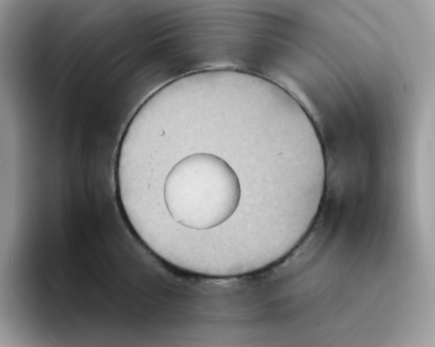 X0000094200810200711091218