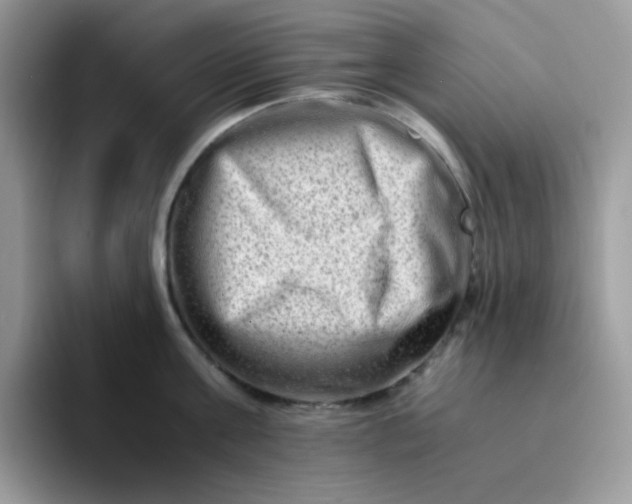 X0000094200811200711091218