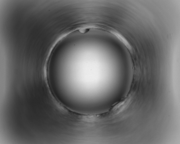 X0000094200813200711091218