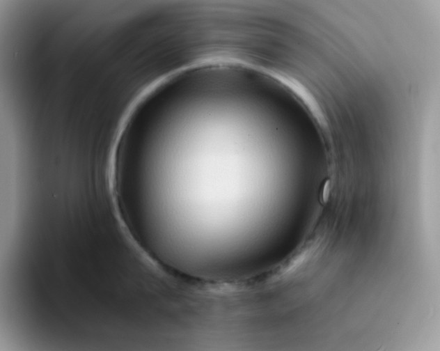 X0000094200815200711091218