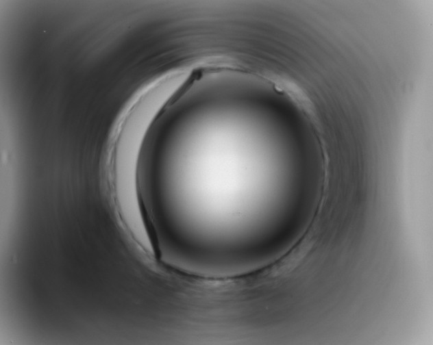 X0000094200816200711091218