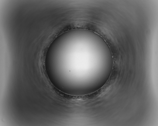 X0000094200817200711091217