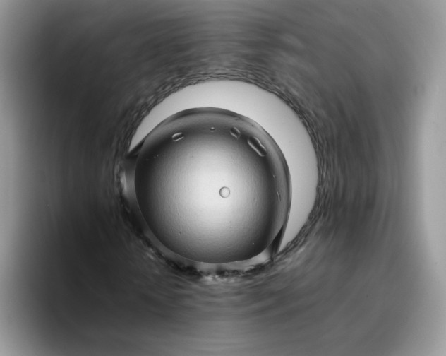 X0000094200818200711091217