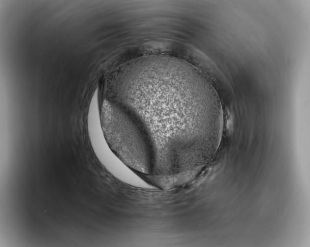 X0000094200819200711091217