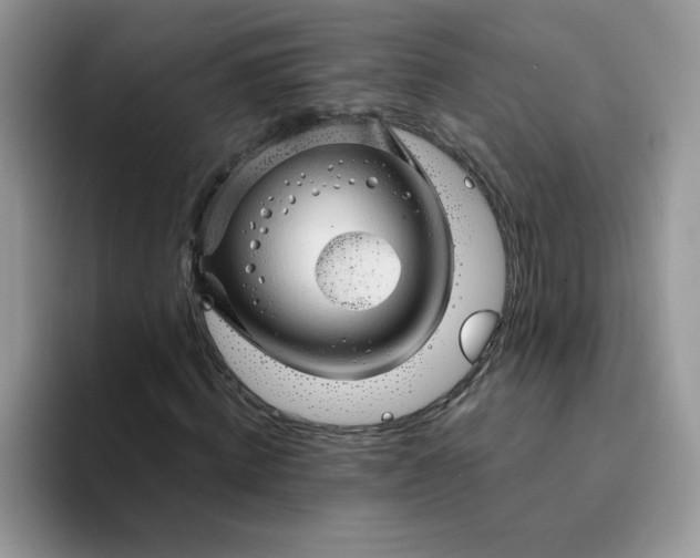 X0000094200820200711091217