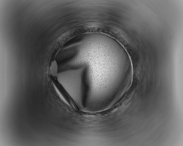 X0000094200821200711091217