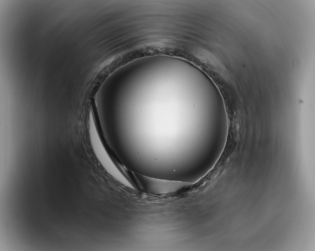 X0000094200822200711091217