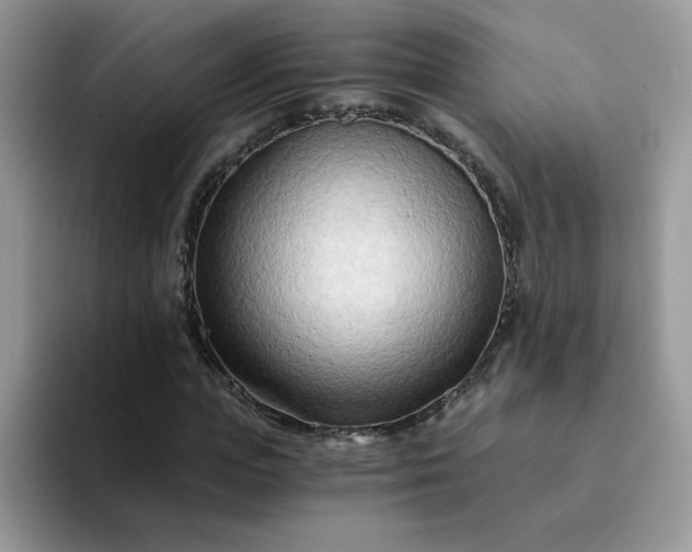 X0000094200823200711091217