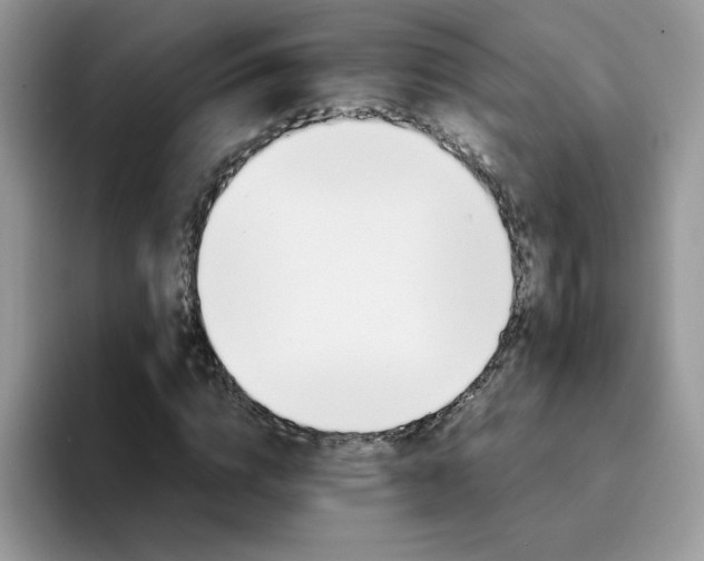 X0000094200824200711091217