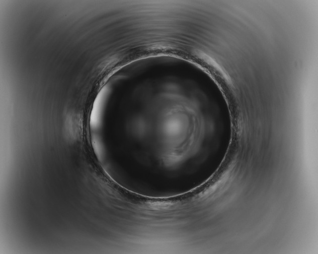 X0000094200825200711091217