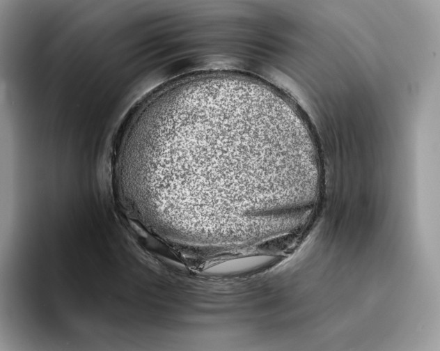 X0000094200827200711091217