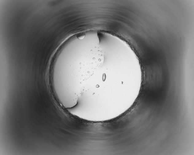 X0000094200828200711091217