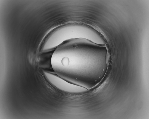 X0000094200830200711091217