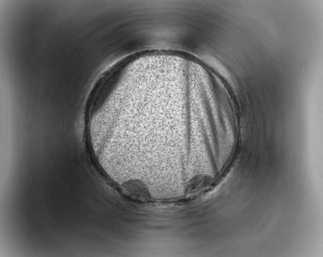 X0000094200831200711091217