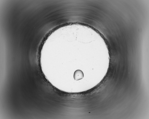 X0000094200832200711091217