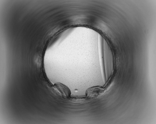 X0000094200833200711091217