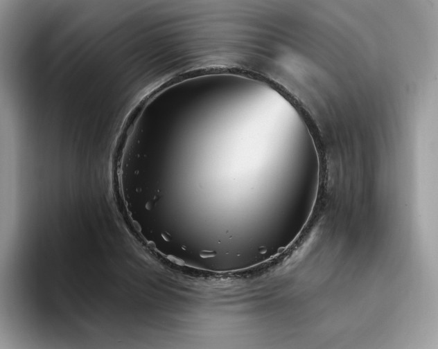 X0000094200834200711091217