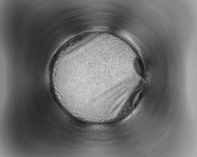 X0000094200835200711091217