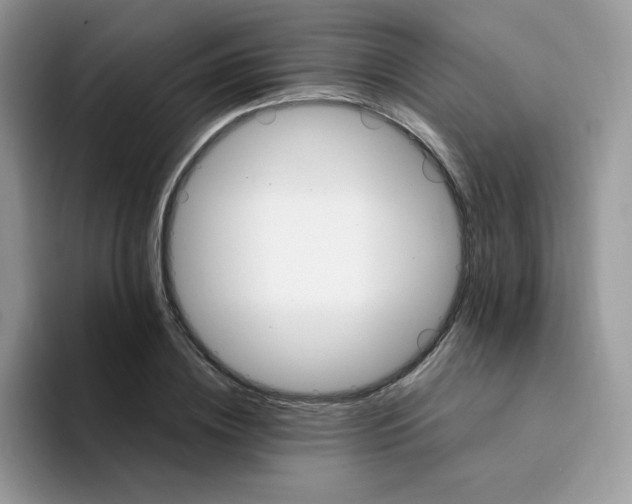 X0000094200836200711091217