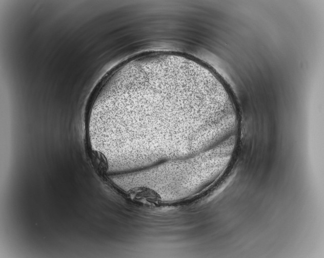 X0000094200837200711091218