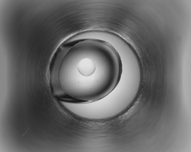 X0000094200838200711091218