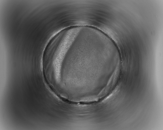 X0000094200839200711091218