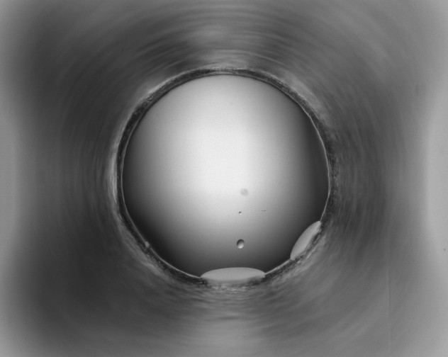 X0000094200840200711091218