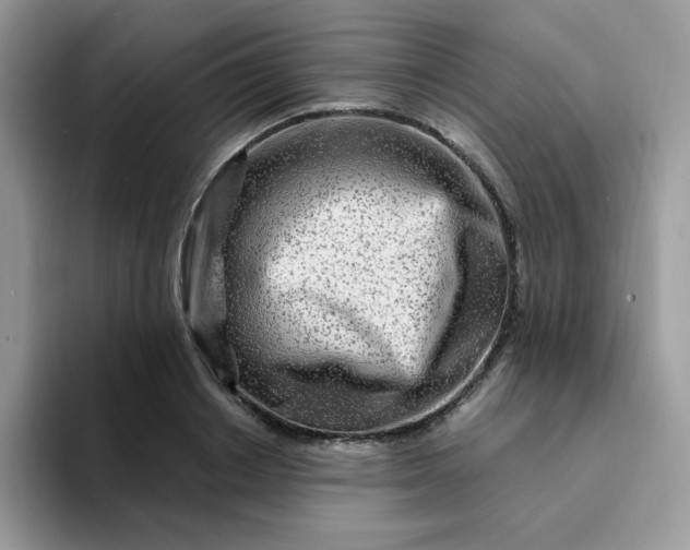 X0000094200842200711091218