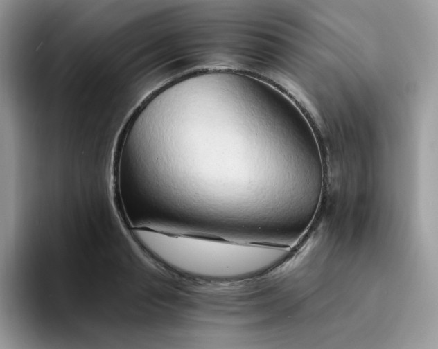 X0000094200845200711091218