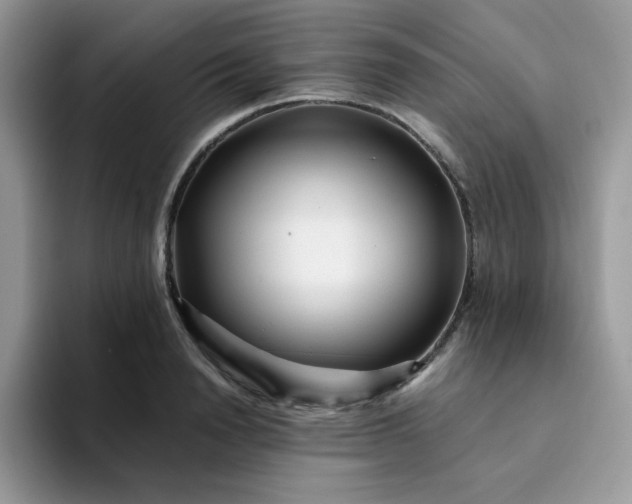 X0000094200846200711091218