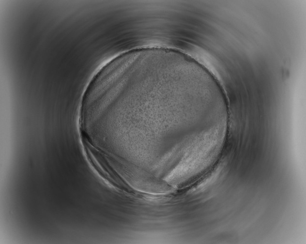 X0000094200847200711091218