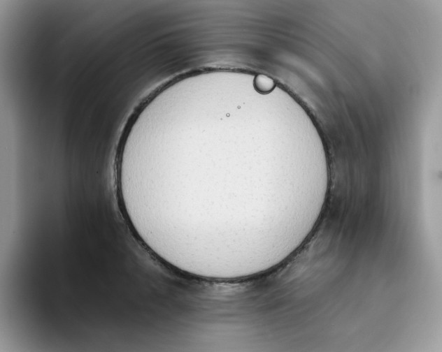 X0000094200848200711091218