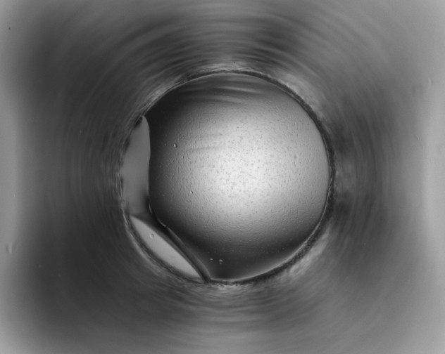 X0000094200849200711091218