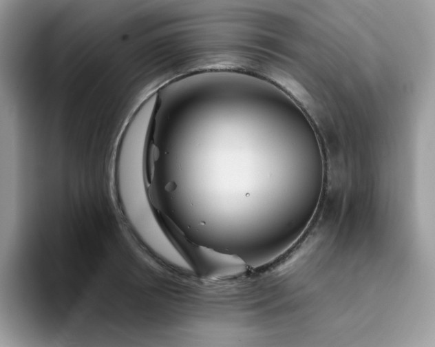 X0000094200850200711091218