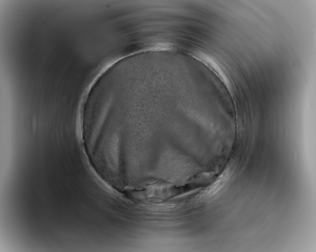 X0000094200851200711091218