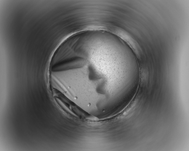 X0000094200852200711091218