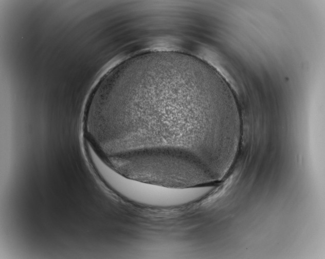 X0000094200853200711091218