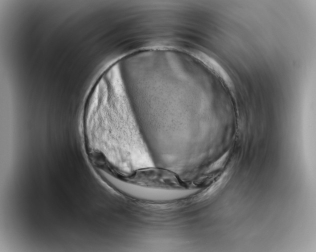 X0000094200855200711091218