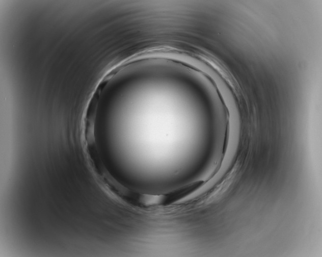 X0000094200858200711091218