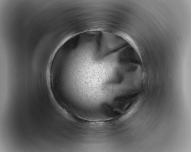 X0000094200859200711091218