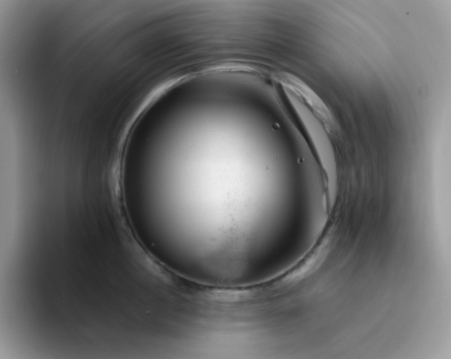 X0000094200860200711091218