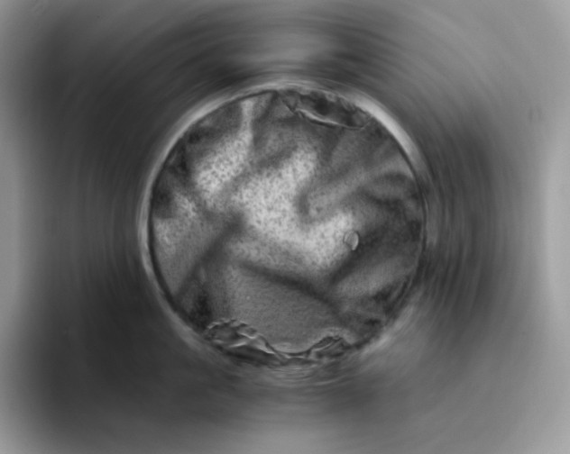 X0000094200861200711091218