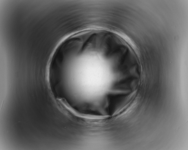 X0000094200862200711091218