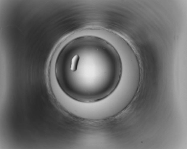 X0000094200864200711091218