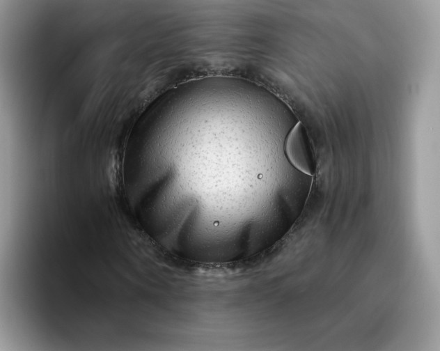 X0000094200866200711091217